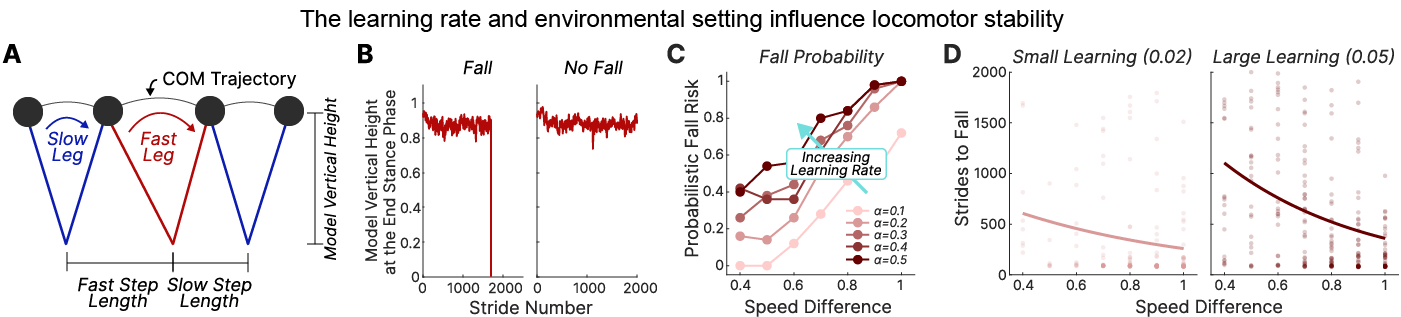 Learning rate and environmental setting influence locomotor stability
