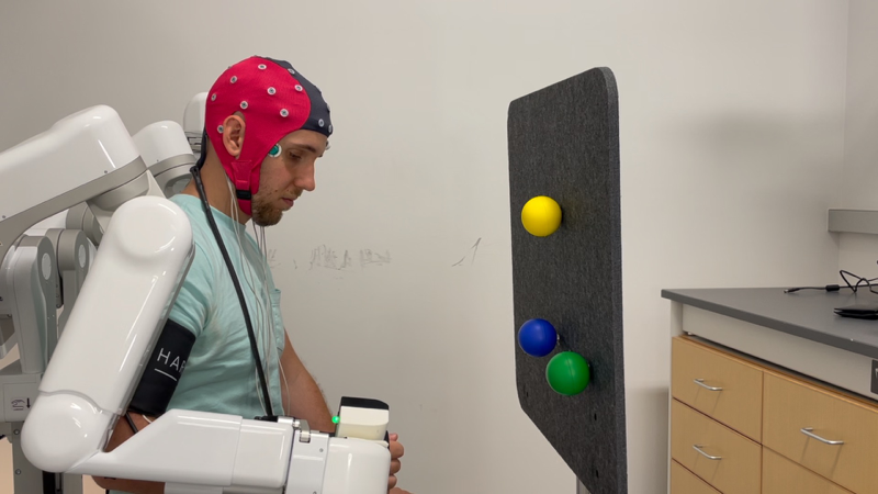 Preview of the IJCAI workshop BMI Harmony demo paper